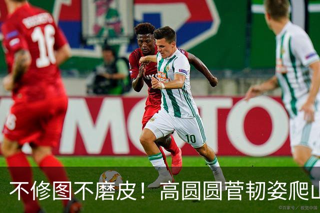 不修图不磨皮！高圆圆菅韧姿爬山原图曝光，内娱松弛感天花板