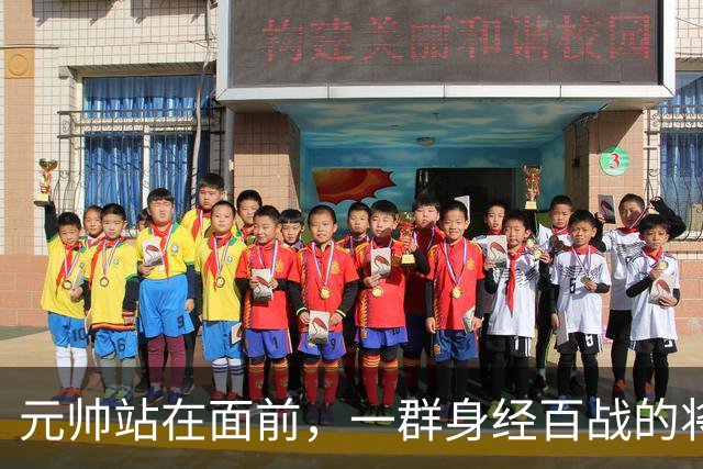 元帅站在面前，一群身经百战的将领没人敬礼，刘伯承沉默转身