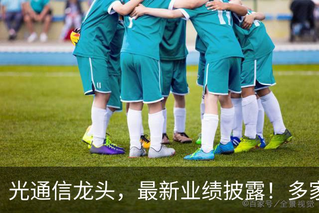 光通信龙头，最新业绩披露！多家机构加仓