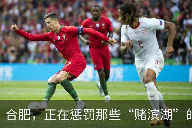 合肥，正在惩罚那些“赌滨湖”的人