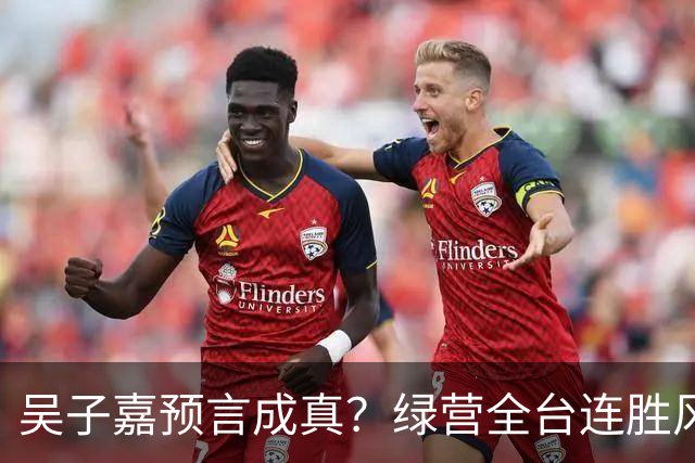 吴子嘉预言成真？绿营全台连胜风声起，蓝营候选人集体冒冷汗！