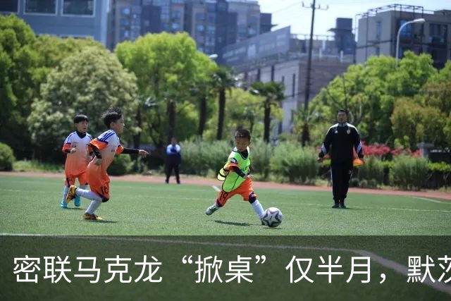 密联马克龙“掀桌”仅半月，默茨突然改口：德国不想与中国打贸易战