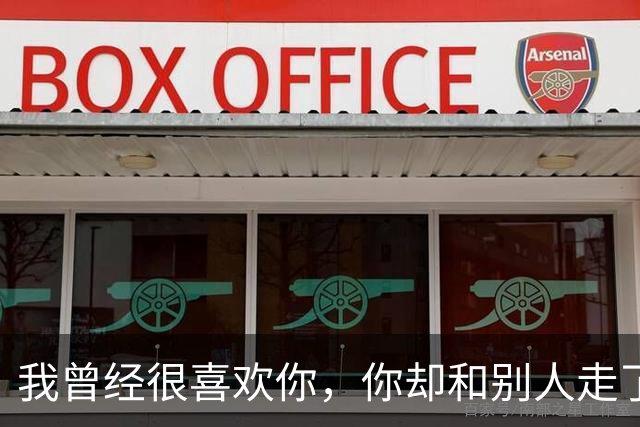 我曾经很喜欢你，你却和别人走了