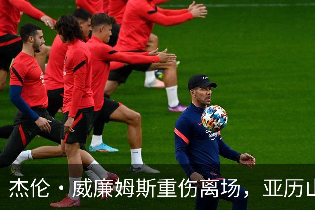 杰伦·威廉姆斯重伤离场，亚历山大含泪：撑到他回来