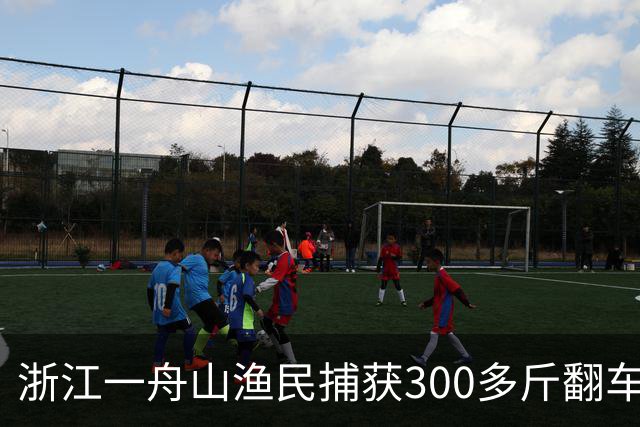 浙江一舟山渔民捕获300多斤翻车鱼，已放归大海