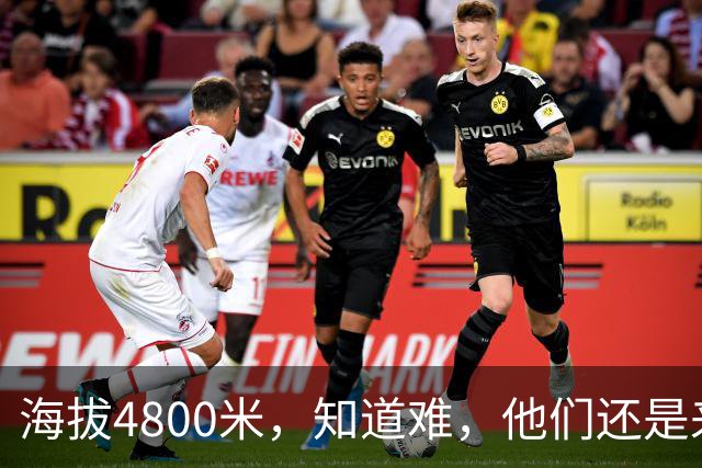 海拔4800米，知道难，他们还是来了