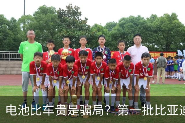电池比车贵是骗局？第一批比亚迪换电池，真实费用惊呆车主
