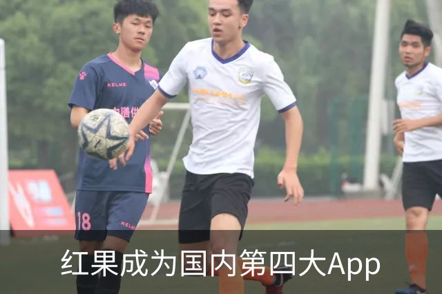 红果成为国内第四大App