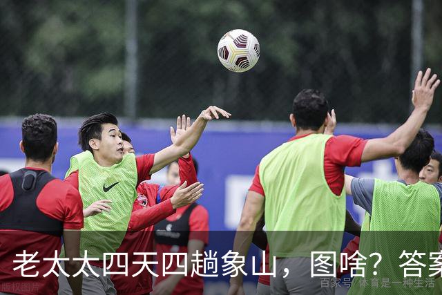 老太太四天四趟象山，图啥？答案让无数年轻人沉默了