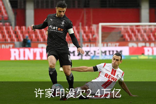 许家印没欠2.4万亿
