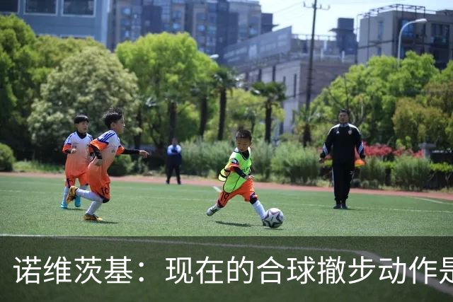 诺维茨基：现在的合球撤步动作是从火箭登开始的 已经有点失控了